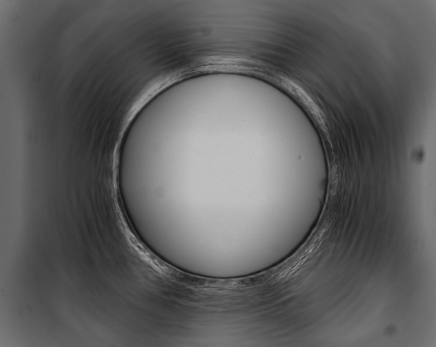 X0000100931386200806241127