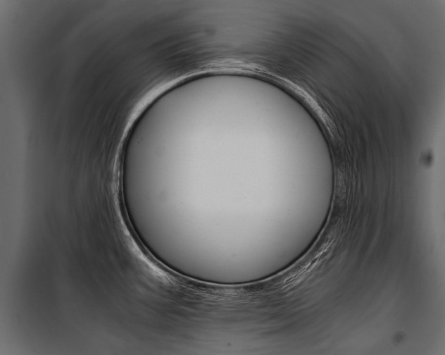 X0000100931387200806241127