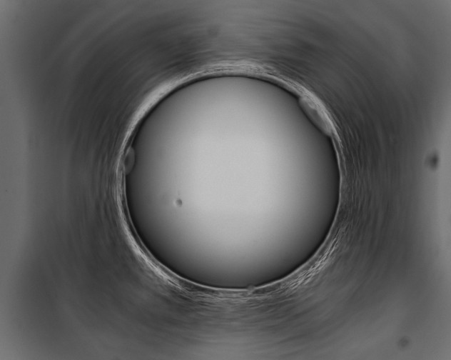 X0000100931389200806241127
