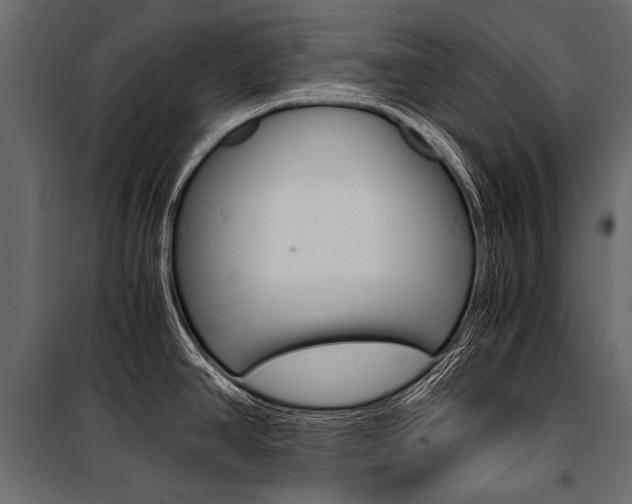 X0000100931390200806241127