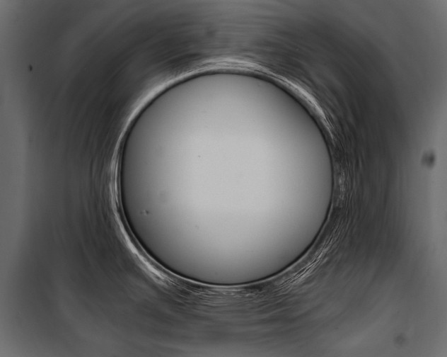 X0000100931391200806241127