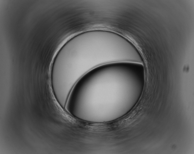 X0000100931392200806241127
