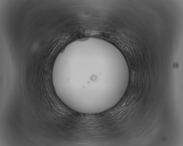 X0000100931393200806241126