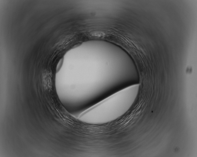 X0000100931394200806241126