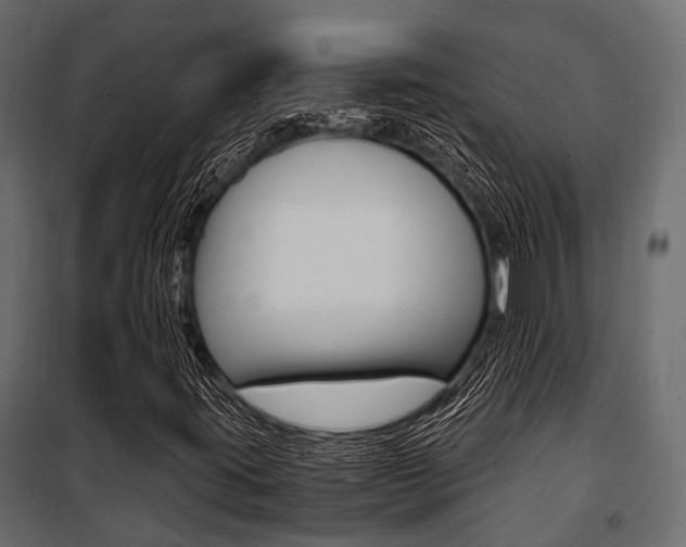 X0000100931395200806241126