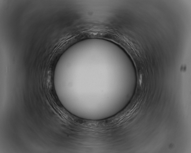 X0000100931396200806241126