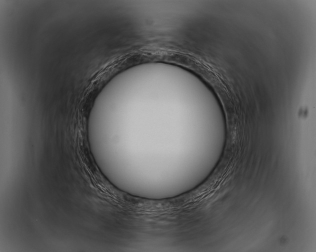 X0000100931397200806241126