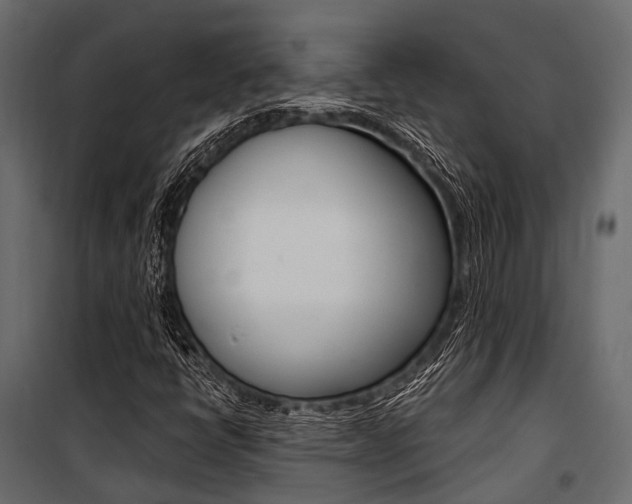 X0000100931398200806241126