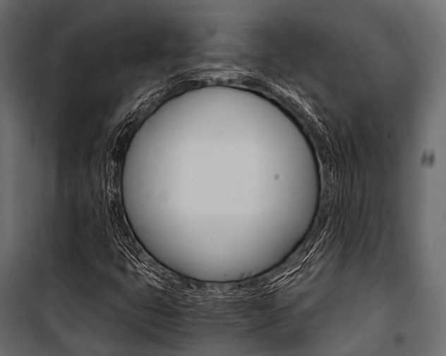 X0000100931399200806241126