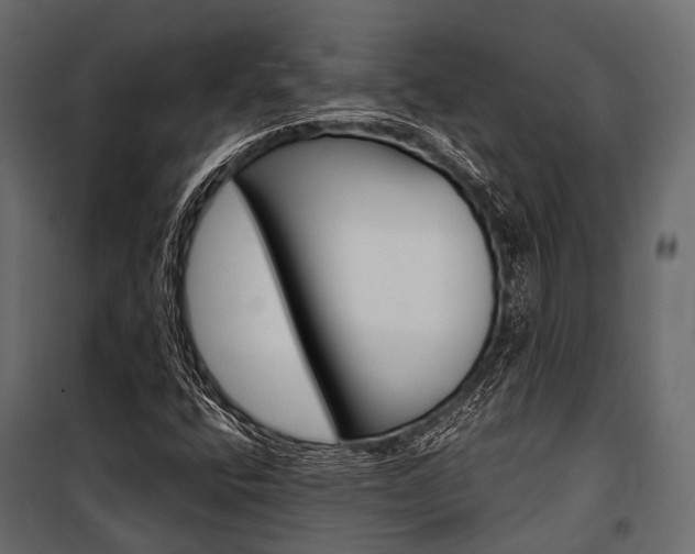 X0000100931400200806241126