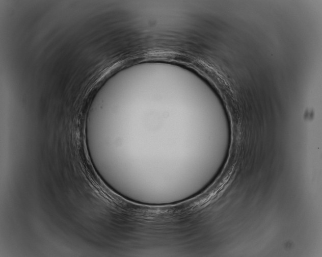 X0000100931401200806241126