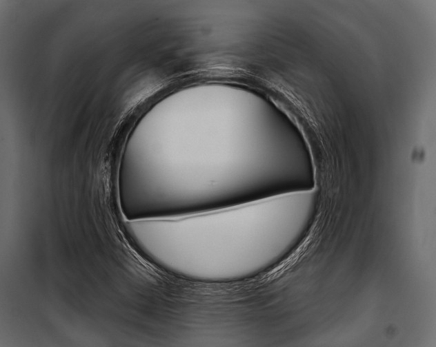 X0000100931402200806241126