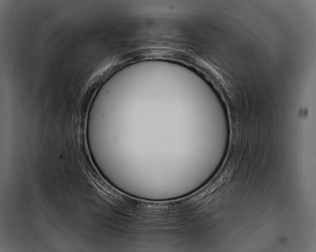 X0000100931403200806241126