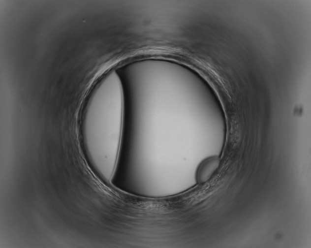 X0000100931404200806241126