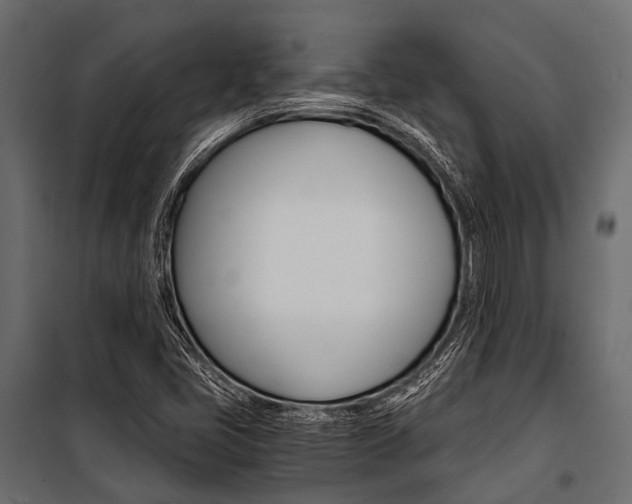 X0000100931405200806241126