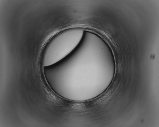 X0000100931406200806241126