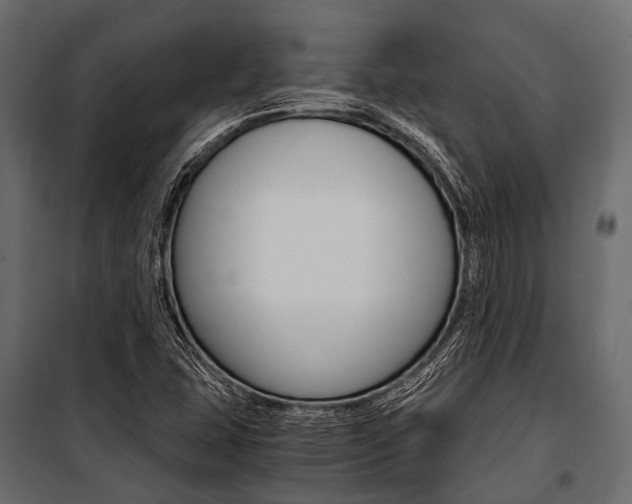 X0000100931407200806241126