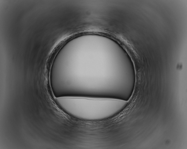 X0000100931408200806241126