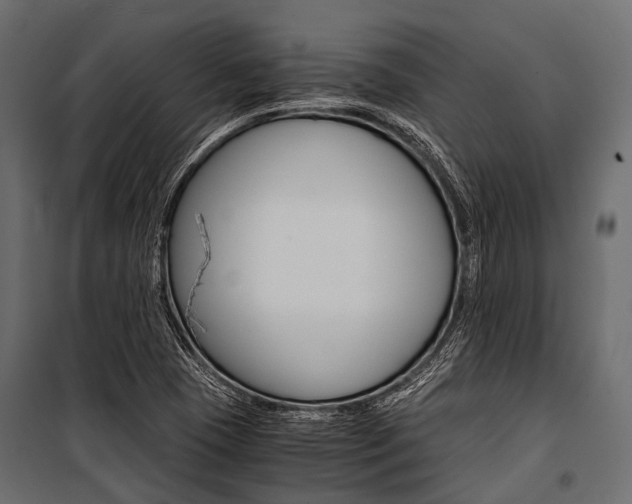 X0000100931409200806241126
