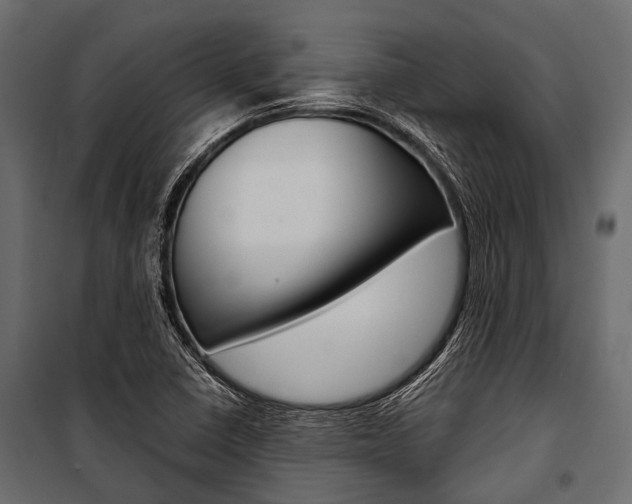 X0000100931410200806241126