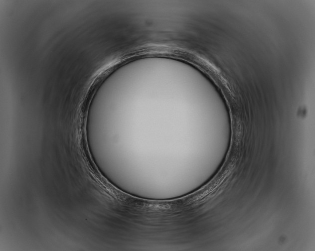 X0000100931411200806241126