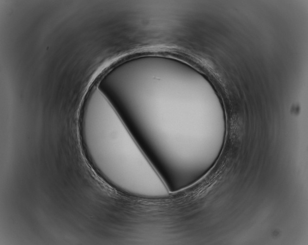 X0000100931412200806241126