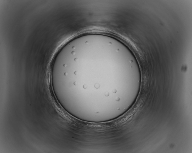 X0000100931413200806241126