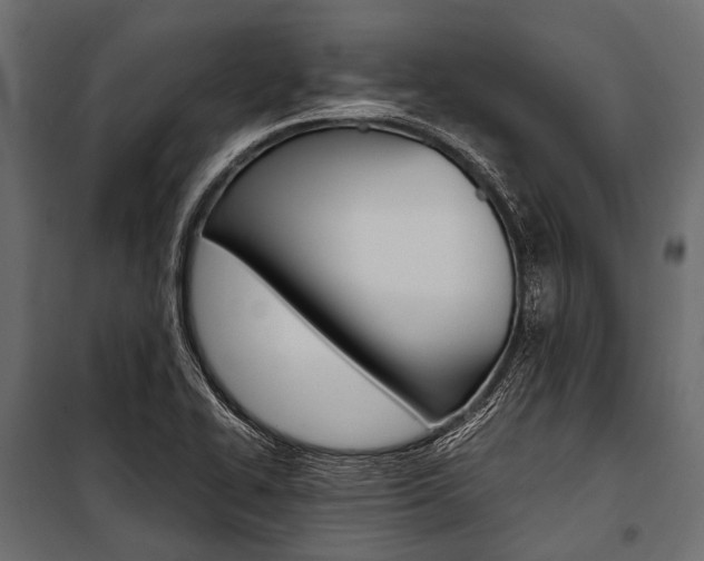 X0000100931414200806241126