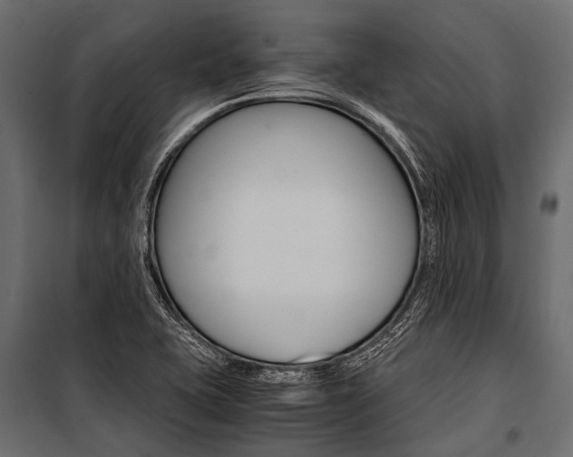 X0000100931415200806241126