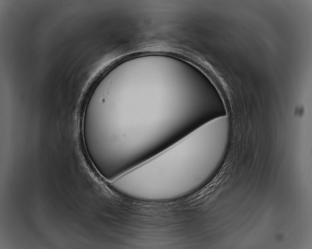 X0000100931416200806241126