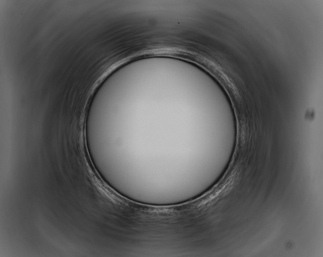 X0000100931417200806241126