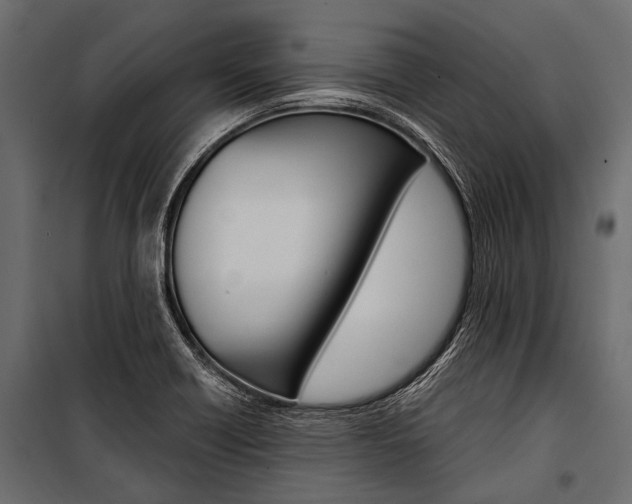 X0000100931418200806241126