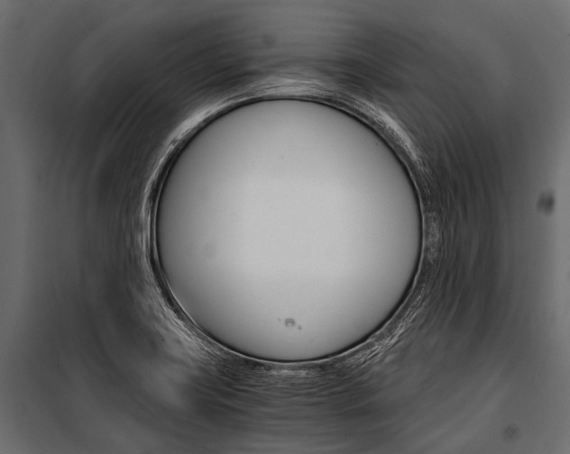 X0000100931419200806241126