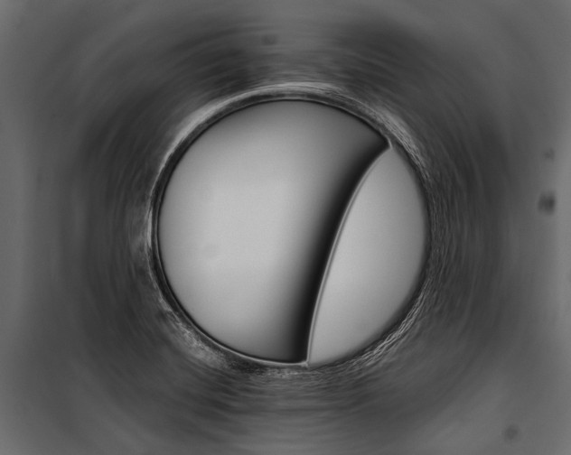 X0000100931420200806241126