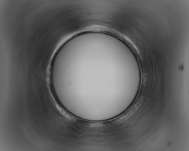 X0000100931421200806241126