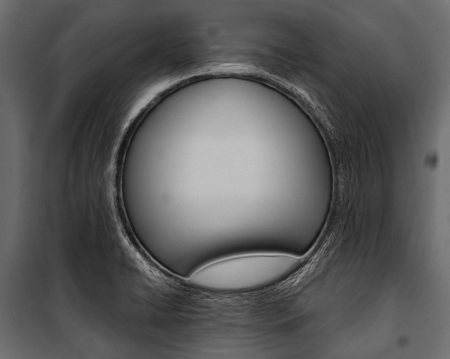 X0000100931422200806241127