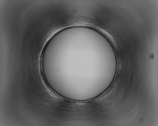 X0000100931423200806241127
