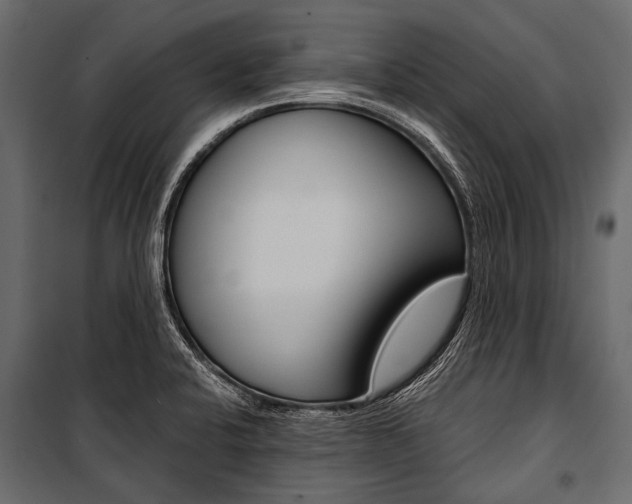 X0000100931424200806241127