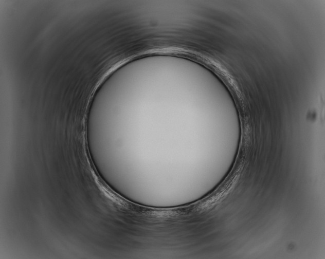 X0000100931425200806241127