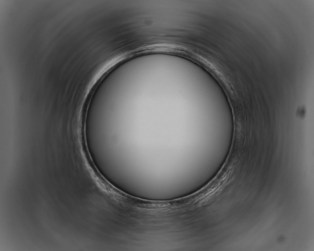 X0000100931426200806241127