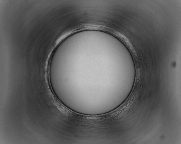X0000100931427200806241127