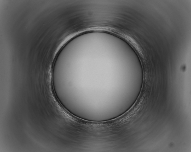 X0000100931428200806241127
