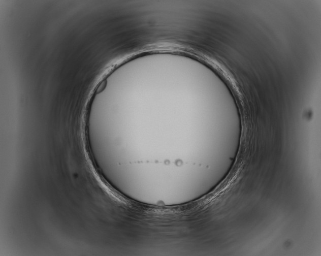 X0000100931429200806241127