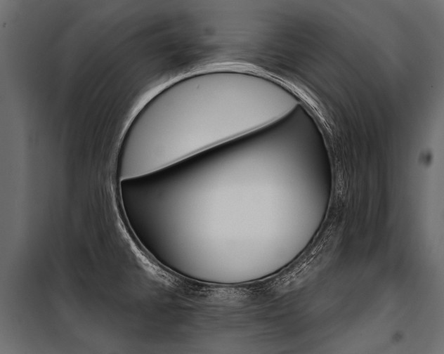 X0000100931430200806241127