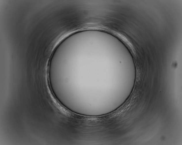 X0000100931431200806241127