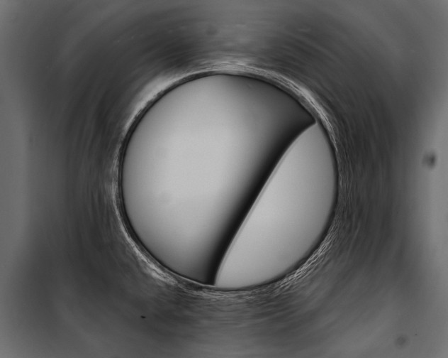X0000100931432200806241127