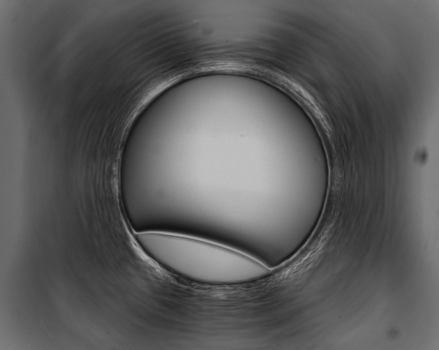 X0000100931433200806241127
