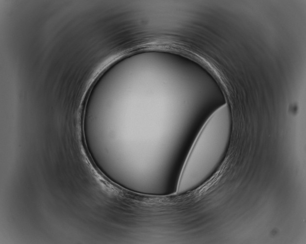 X0000100931434200806241127