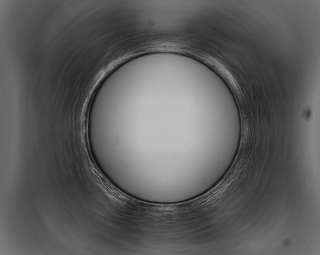 X0000100931435200806241127