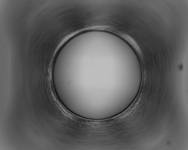 X0000100931436200806241127